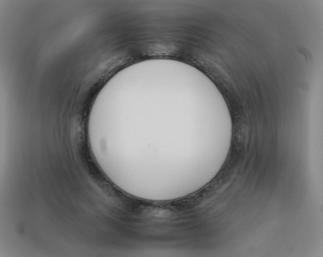 X0000113890743200910221416