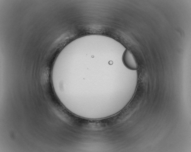 X0000113890744200910221417