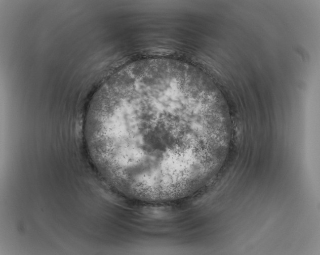 X0000113890745200910221417