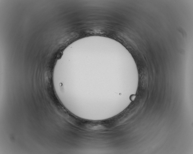 X0000113890747200910221417