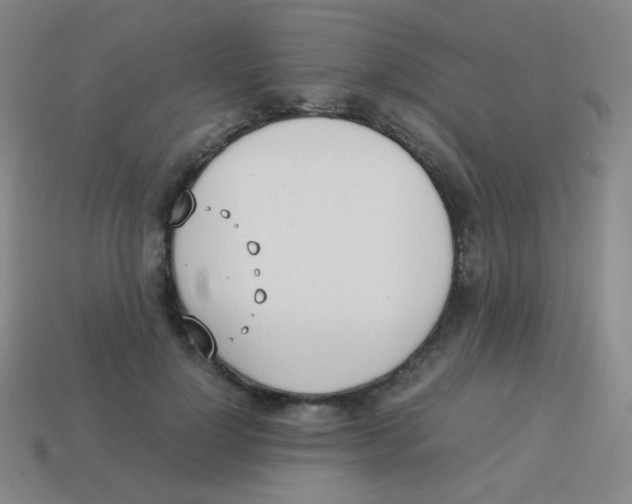 X0000113890748200910221417