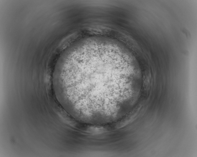 X0000113890749200910221417
