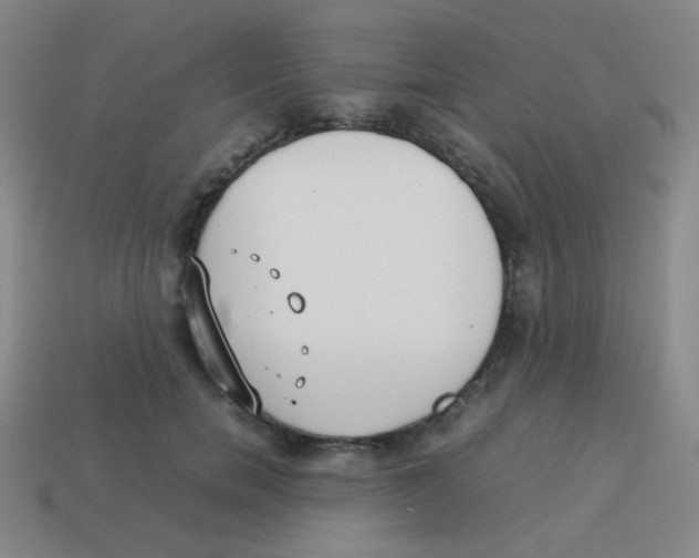 X0000113890750200910221417