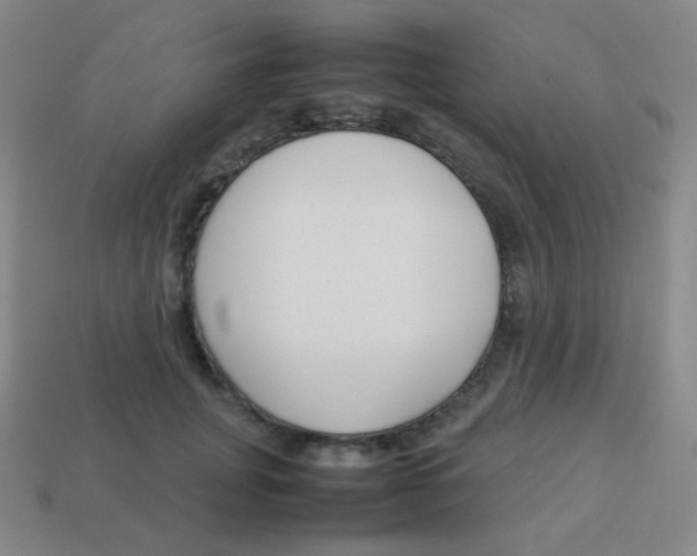 X0000113890751200910221417