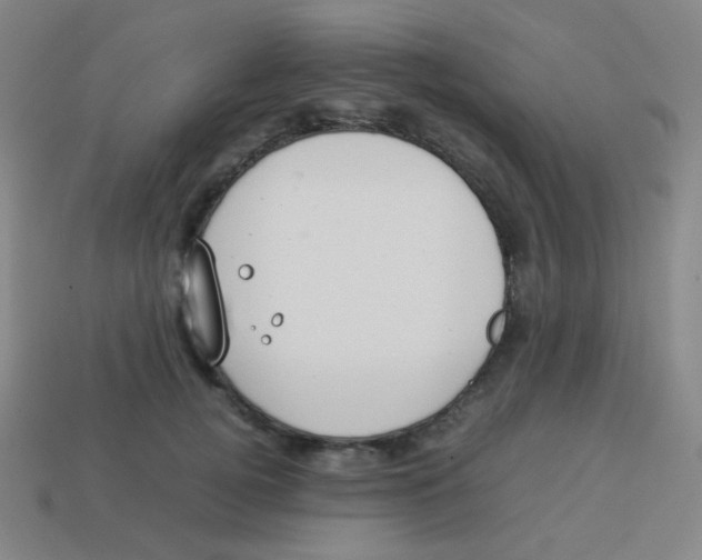 X0000113890752200910221417