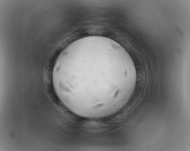 X0000113890755200910221417
