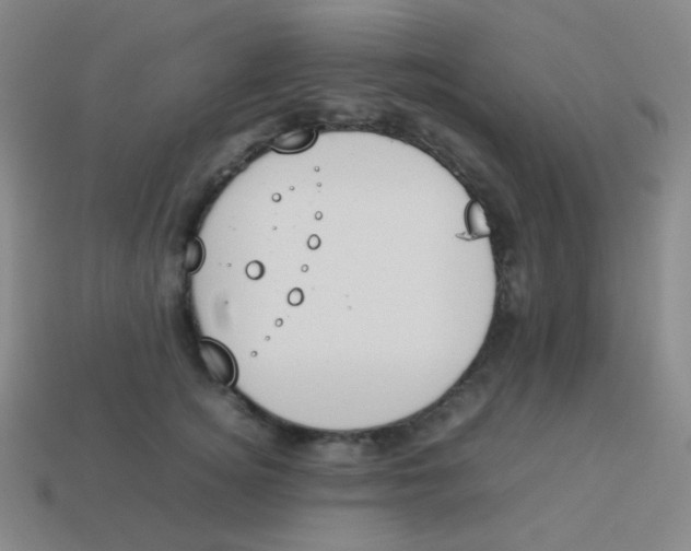 X0000113890756200910221417