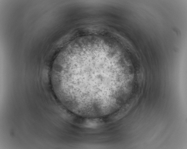 X0000113890757200910221417