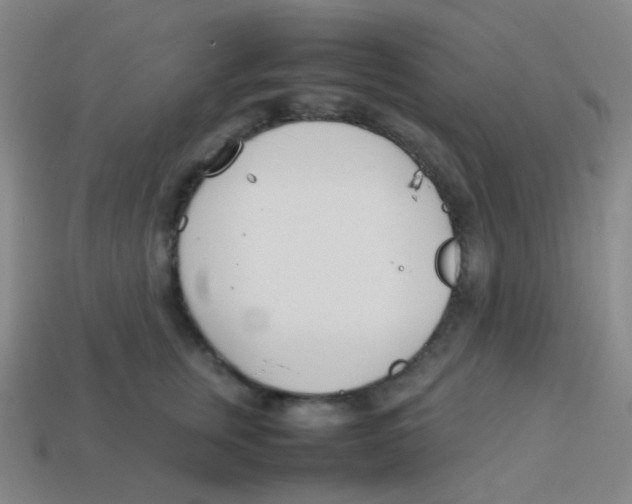 X0000113890759200910221417