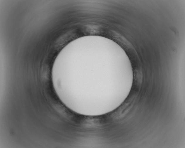 X0000113890760200910221417