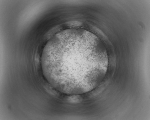X0000113890761200910221417
