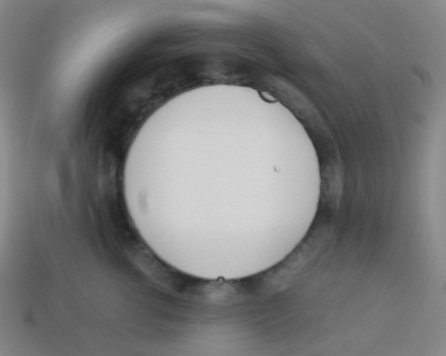 X0000113890762200910221417