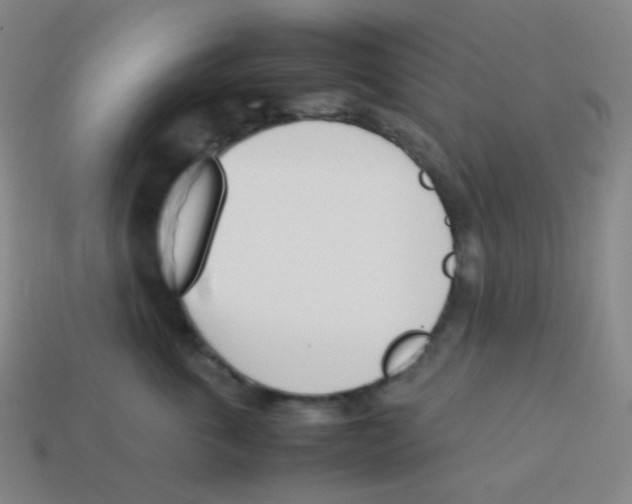 X0000113890763200910221417