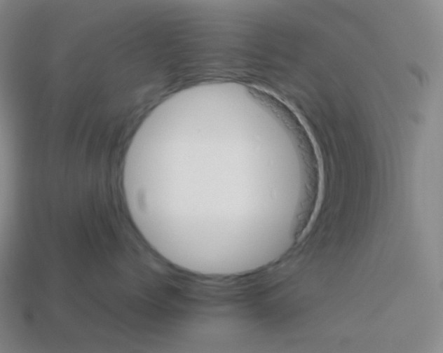 X0000113890768200910221417