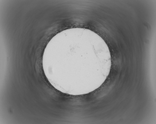 X0000113890769200910221416