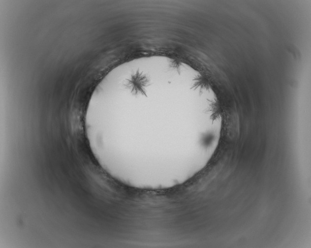 X0000113890770200910221416