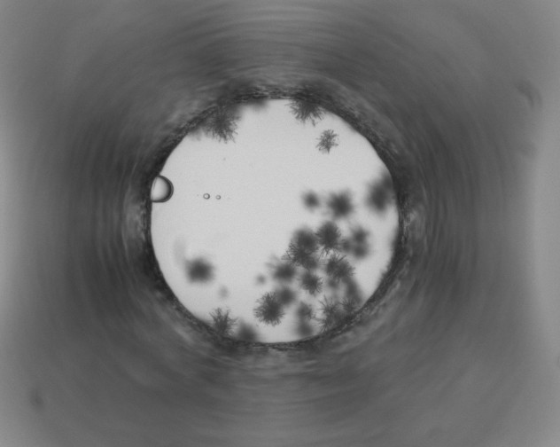X0000113890772200910221416