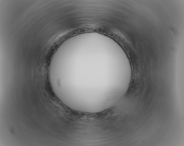 X0000113890773200910221416