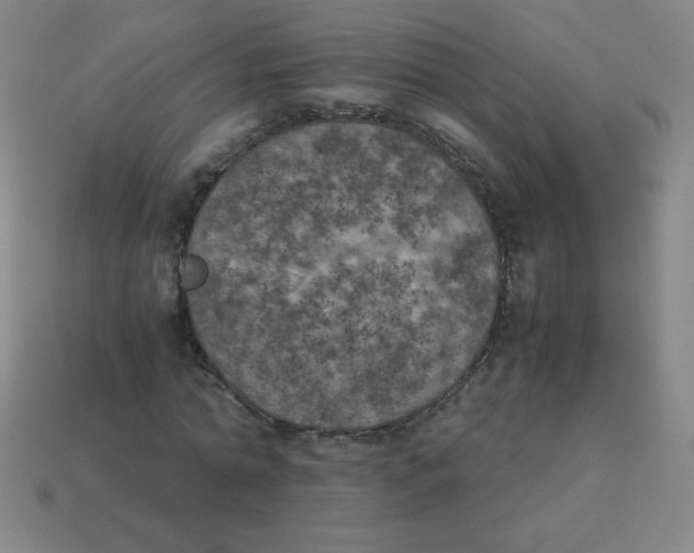 X0000113890774200910221416