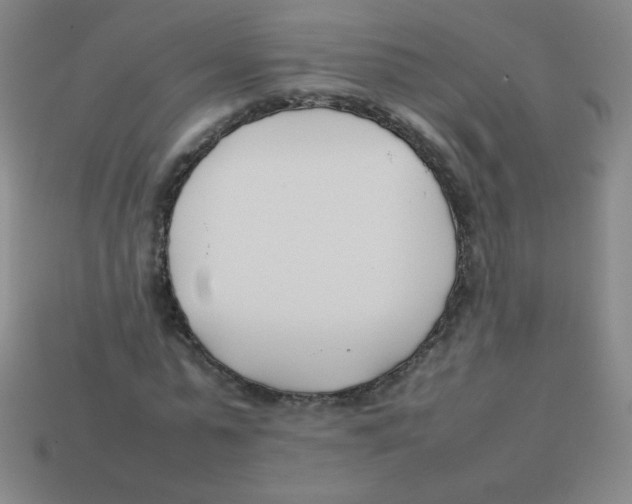 X0000113890775200910221416