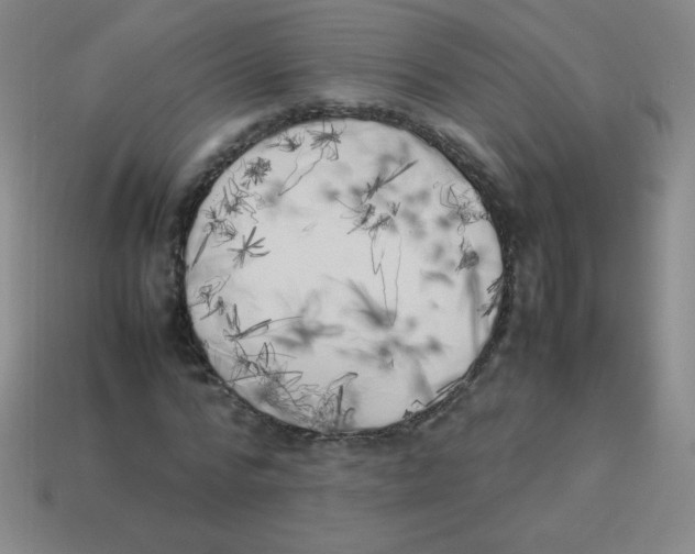 X0000113890776200910221416