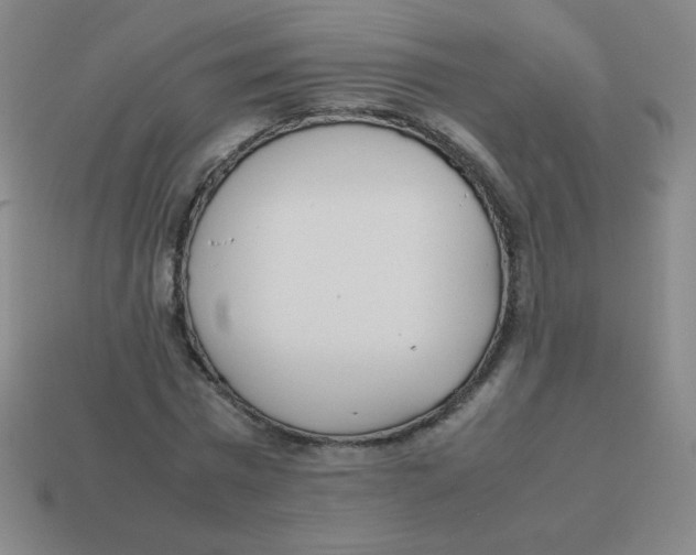 X0000113890777200910221416