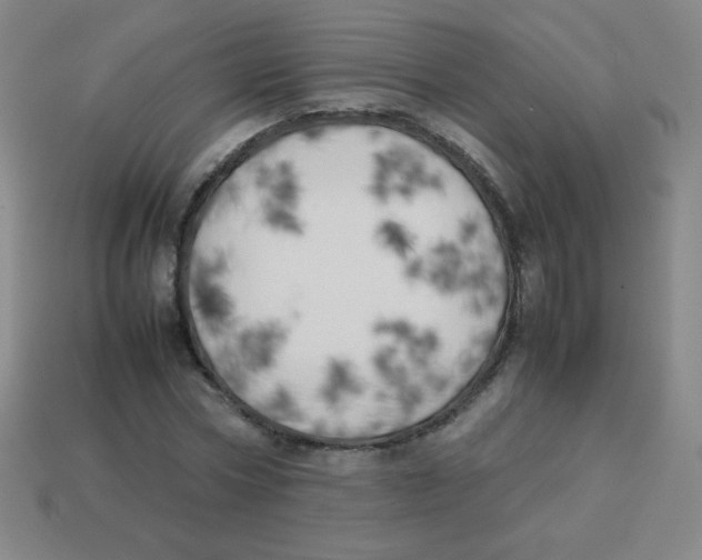 X0000113890778200910221416