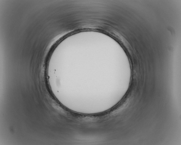 X0000113890779200910221416
