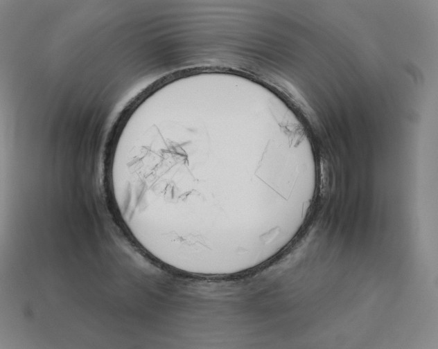 X0000113890780200910221416