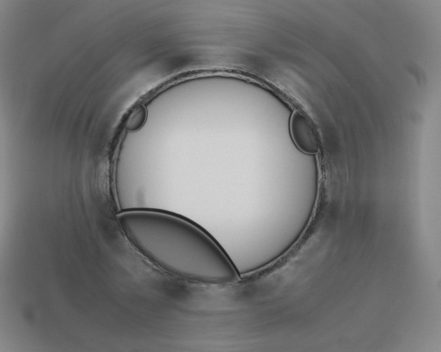 X0000113890781200910221416