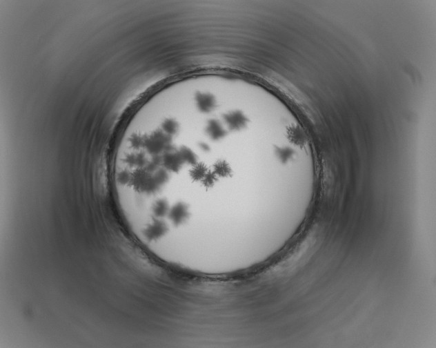 X0000113890782200910221416