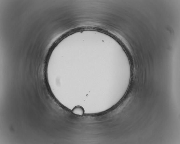 X0000113890783200910221416