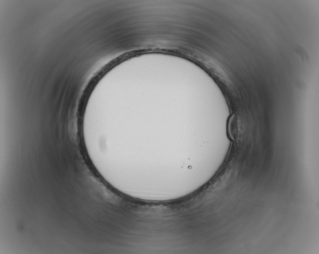 X0000113890784200910221416