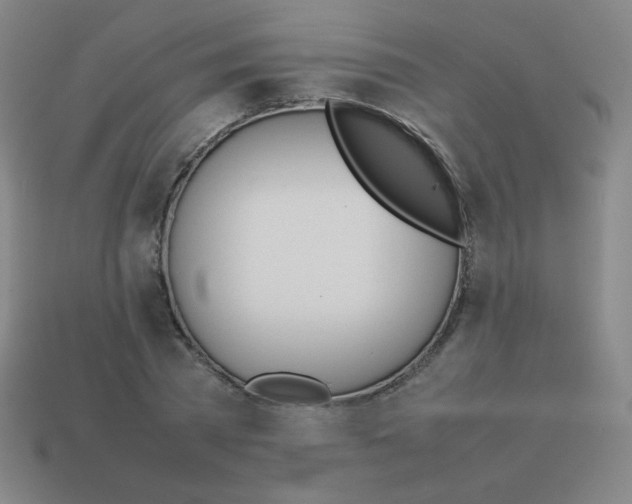 X0000113890785200910221416