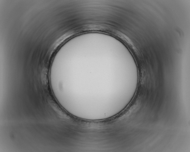 X0000113890786200910221416
