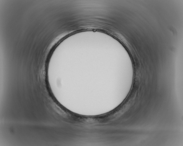 X0000113890787200910221416