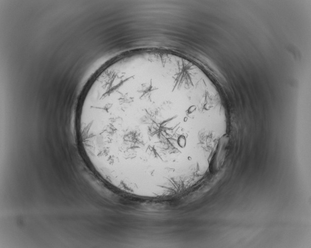 X0000113890788200910221416
