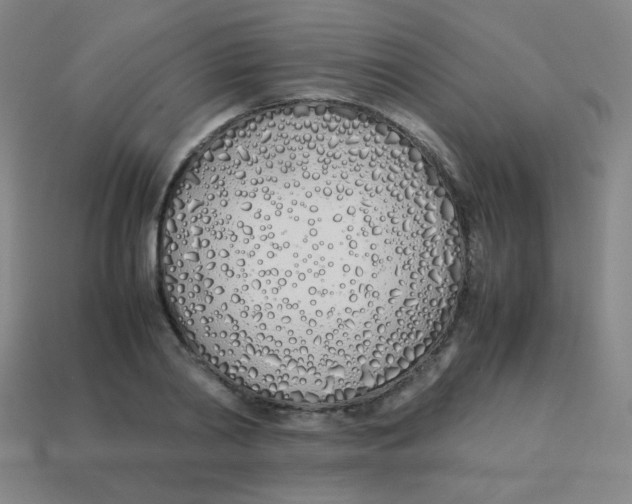 X0000113890790200910221416