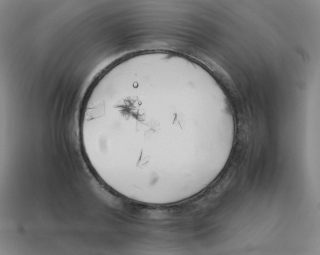 X0000113890792200910221416