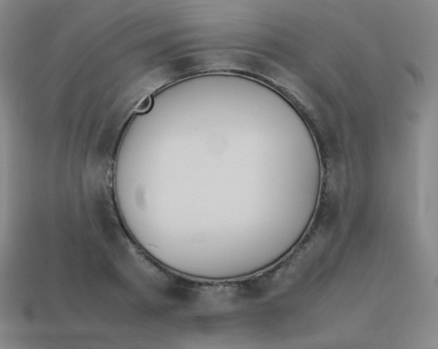 X0000113890793200910221416