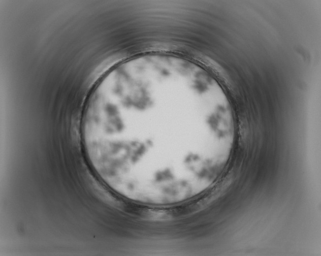 X0000113890794200910221416