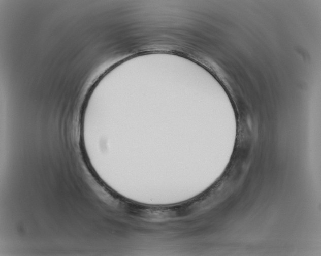 X0000113890795200910221416