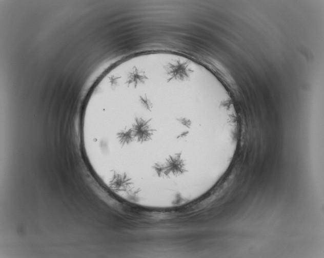 X0000113890796200910221416