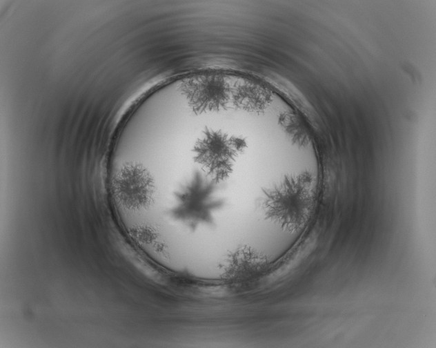 X0000113890798200910221416