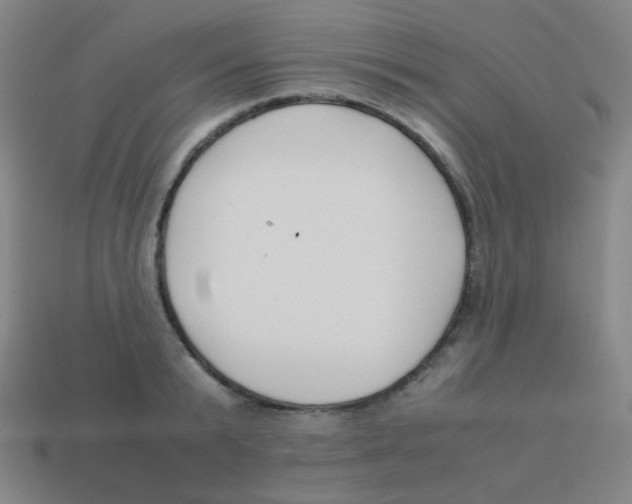 X0000113890799200910221416