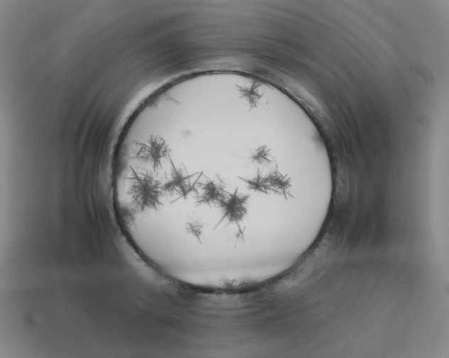X0000113890800200910221416