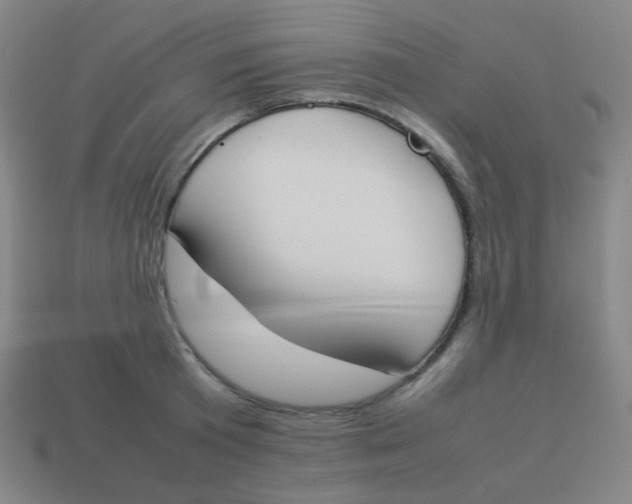 X0000113890801200910221415