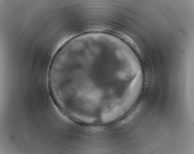 X0000113890802200910221415