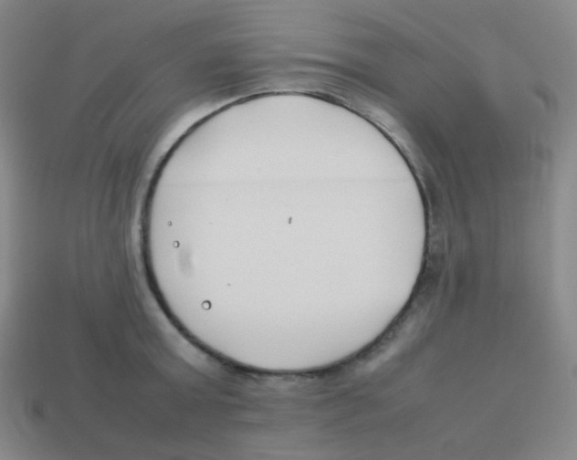 X0000113890803200910221415