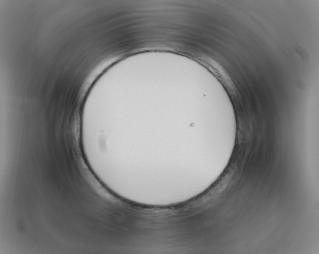 X0000113890804200910221415